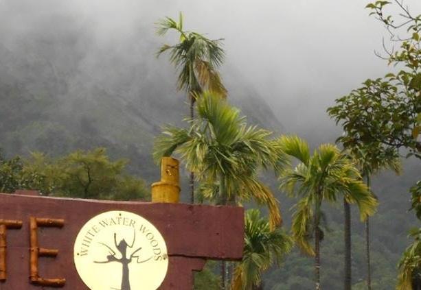 White Water Woods Resort Vythiri Exterior foto